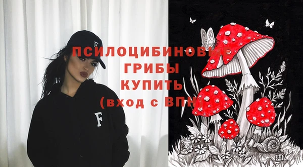 мдма Рославль