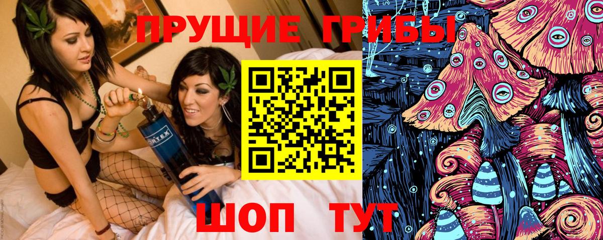 Псилоцибиновые грибы MAGIC MUSHROOMS  Псилоцибиновые грибы GOLDEN TEACHER  Вход с VPN  Донской 
